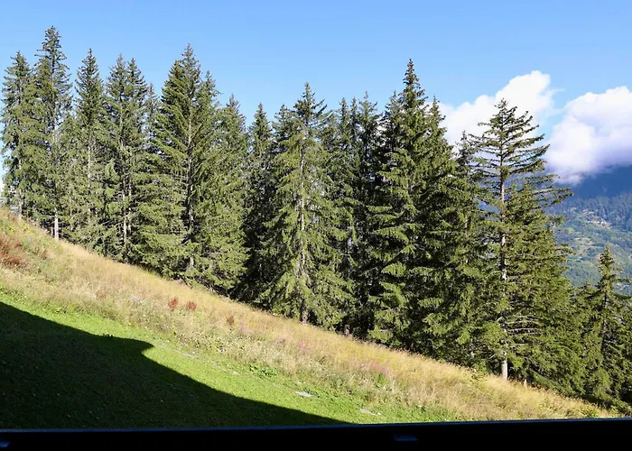 Apartmán Skis Aux Pieds Renove, 5 Pers - Fr-1-575-187 Courchevel