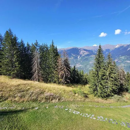 Skis Aux Pieds Renove, 5 Pers - Fr-1-575-187 Lägenhet *